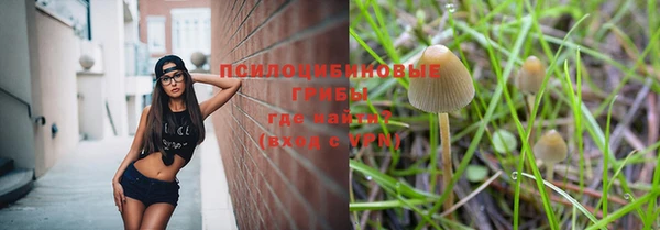 a pvp Горно-Алтайск