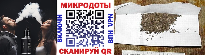 Псилоцибиновые грибы Cubensis Димитровград