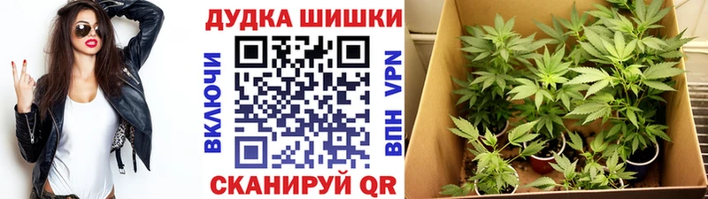 Бошки марихуана OG Kush  маркетплейс телеграм  Димитровград  наркошоп 